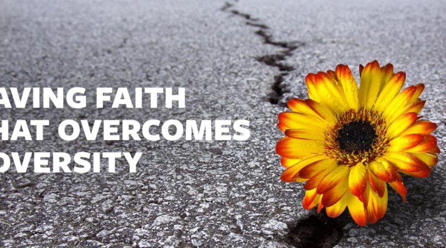 Having Faith that Overcomes Diversity