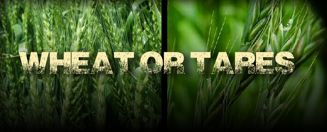 Wheat or Tares