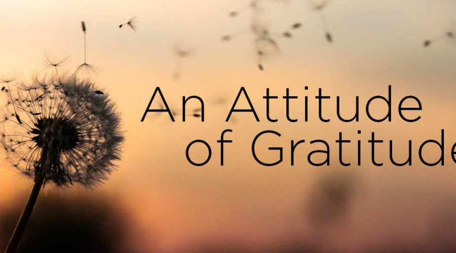 An Attitude Of Gratitude