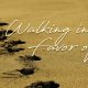 Walking in the Favor of God