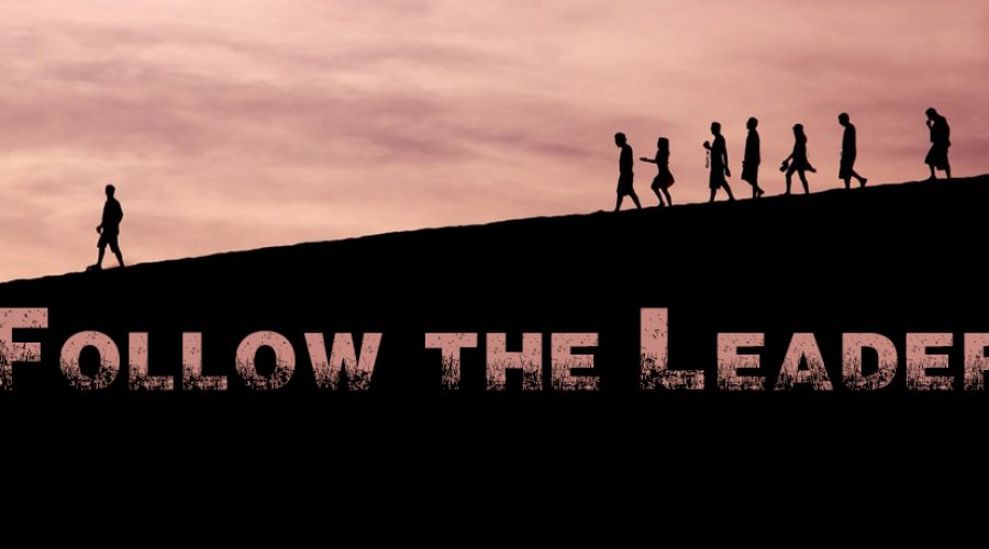 Follow the Leader