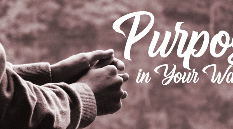 Purpose in Your Waiting