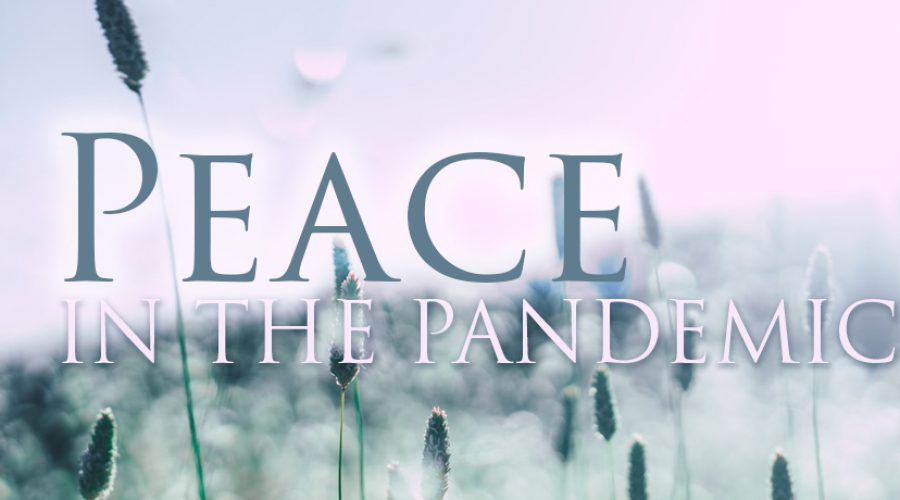 Peace in the Pandemic