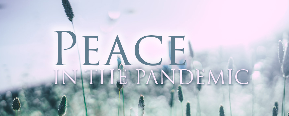 Peace in the Pandemic