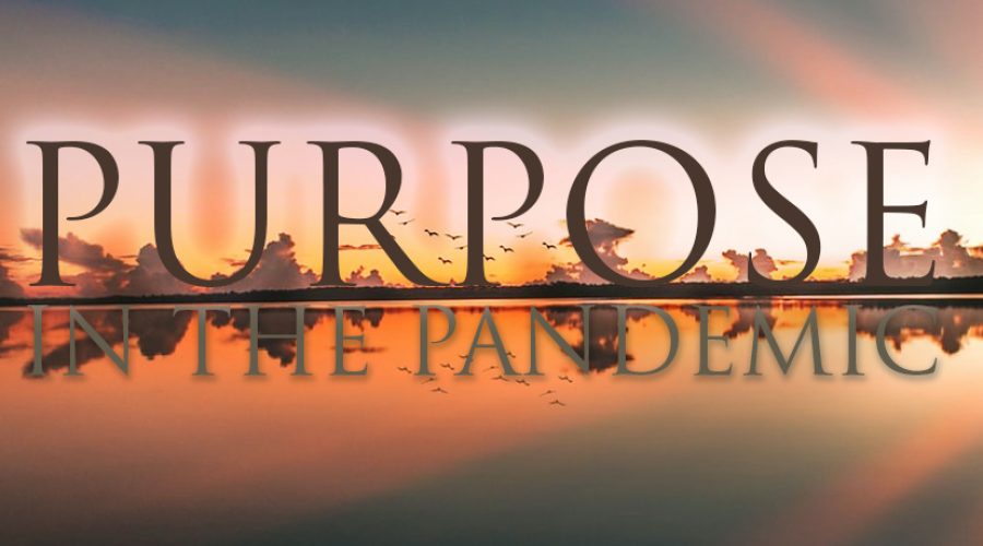 Purpose in the Pandemic