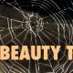 The Beauty Trap