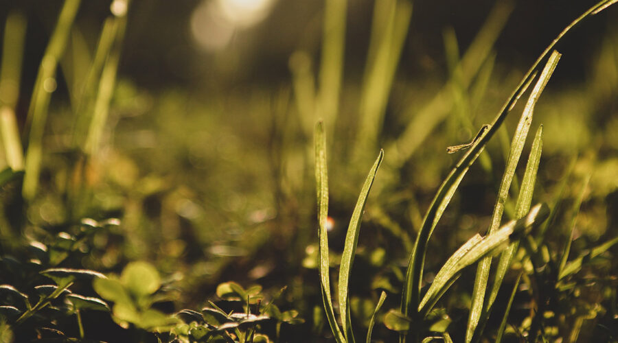 Access Through Humility