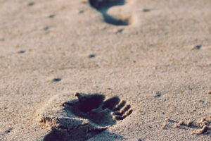 Every Step Counts